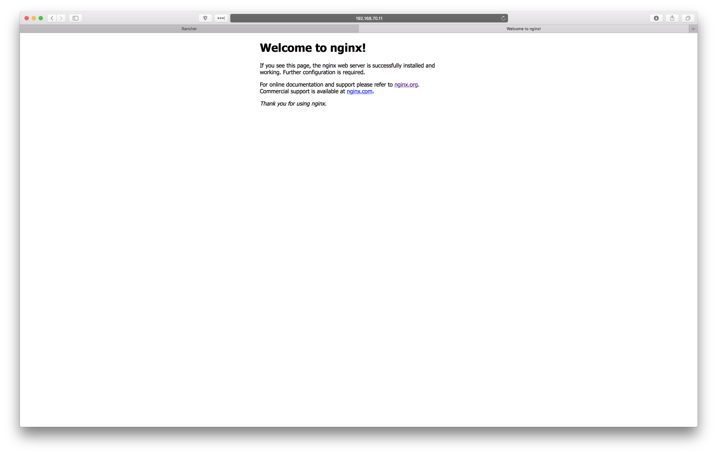 Testing deployment, Nginx welcome page